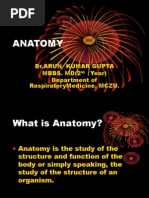 Anatomy: DR - Arun Kumar Gupta Mbbs. MD (2 Year) Department of Respiratorymedicine, Mczu