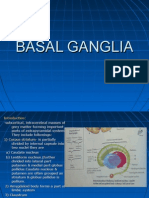 Basal Ganglia