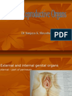 Female Reproductive Organs