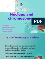 Nucleus and Chromosomes