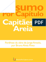 Resumo Por Capítulo: Capitães Da Areia