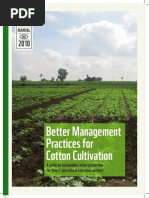 Cotton Management