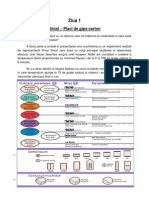 Caiet de Practică Arhitectura