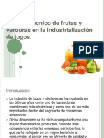 Proceso Técnico de Frutas y Verduras en La Producción de Jugos