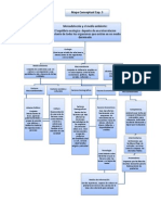 Mapa Conceptual 3.PDF CAP