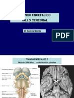 6ta Clase Neuro Tronco Encefalico DR Correa