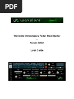 Wavelore Pedal Steel Guitar Help