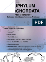 Topic - Urochordata July 14