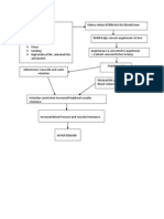 Hypertension Pathophysiology