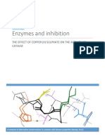 IB Biology IA: Enzymes and Inhibition 