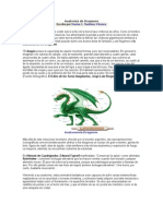 Anatomía de Dragones