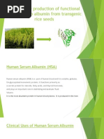 Large - Scale Production of Functional Human Serum Albumin From Transgenic Rice Seeds