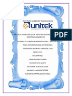 Siatema Nacional de Pensiones