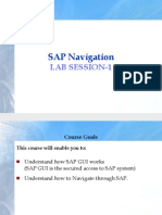 SAP Navigation Guide