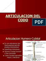 Articulacion Del Codo