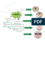 Vakog: Primary Representational System