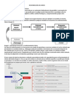 Neurobiología Del Miedo