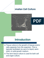 Tissue Culture..