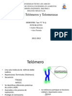 Exposición Telómeros y Telomerasas.