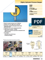 Enerpac DGR1 Catalog