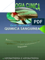 Quimica Sanguinea Presentacion