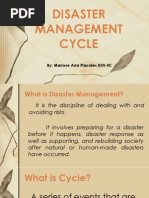 Disaster Management Cycle