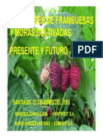 Variedades de Frambuesa y Mora Cultivada - Presente y Futuro - MARCELA ZUNIGA LARA-MARIO GARCES LARENAS