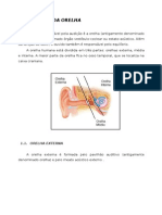 Anatomia Da Orelha