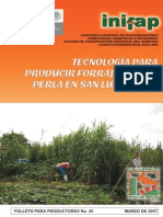 Tecnología para Producir Forraje de Mijo Perla en SLP