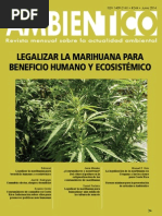 Cannabis: Efectos, Riesgos y Beneficios