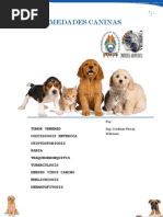 PDF para Caninos