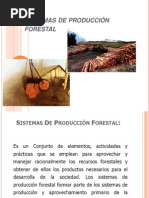 Sistemas de Producción Forestal