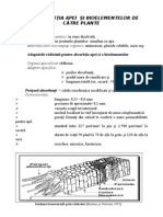 Absorbtia II