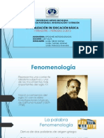 Fenomenologia y Estudio de Casos 08 Julio 2014