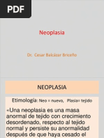 Neoplasia Uap 190414 Hejcu 2