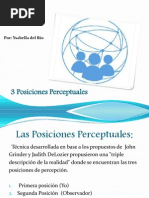 3 Posiciones Perceptuales