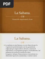 La Sabana