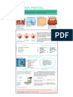 Hernia Hiatal