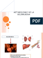 Metabolismo de La Bilirrubina