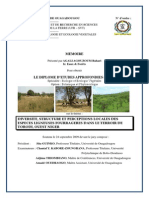 Mémoire DEA AGALI PDF