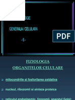 6 Fosforilare Oxidativa, Sinteza Proteica, Trafic de Membrane