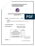 Concentracion de Minerales - Determinacion de Humedad y Graverdad Especifica de Un Mineral