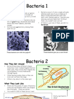 Bacteria Summary 1