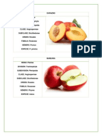 Taxonomía de Las Plantas