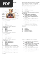 Evaluacion Sistema Respiratorio2014