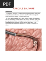 Calcule Salivare