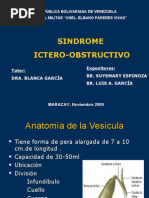 Sindrome Icteroobstructivo