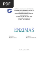 Monografia de Enzimas