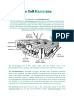 The Cell Membrane