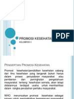 Promosi Kesehatan